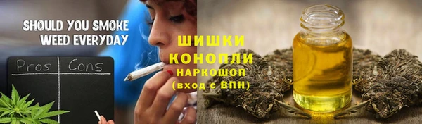 молекула духа Кинешма