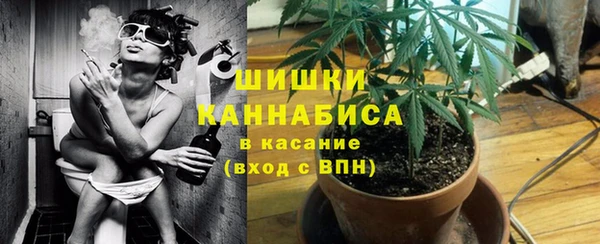 молекула духа Кинешма