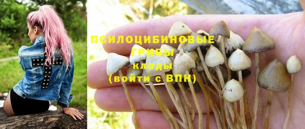 прущая мука Киреевск